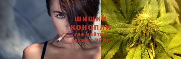 твердый Дмитров