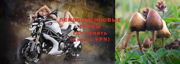 твердый Дмитров