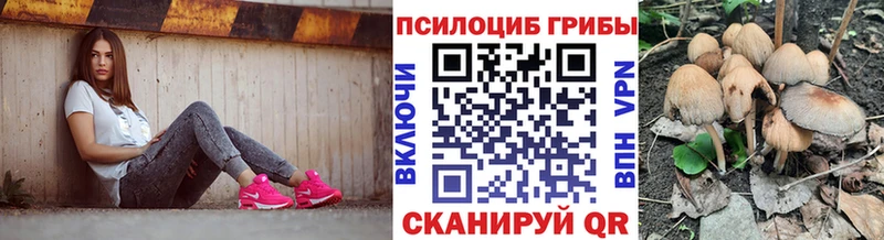 Галлюциногенные грибы мицелий  МЕГА   Шенкурск 