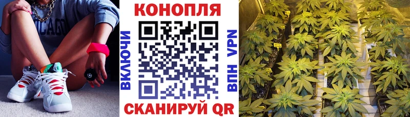 дарк нет наркотические препараты  Шенкурск  Каннабис гибрид 